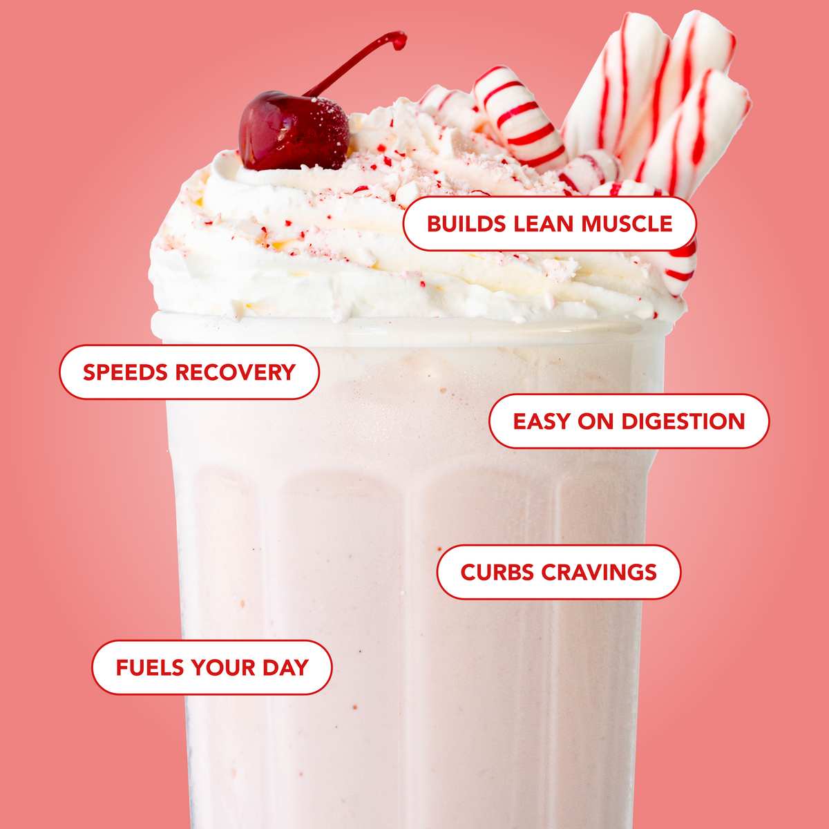 Protein Powder: White Chocolate Peppermint (10 Serving Bag)